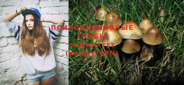 PSILOCYBIN Нязепетровск